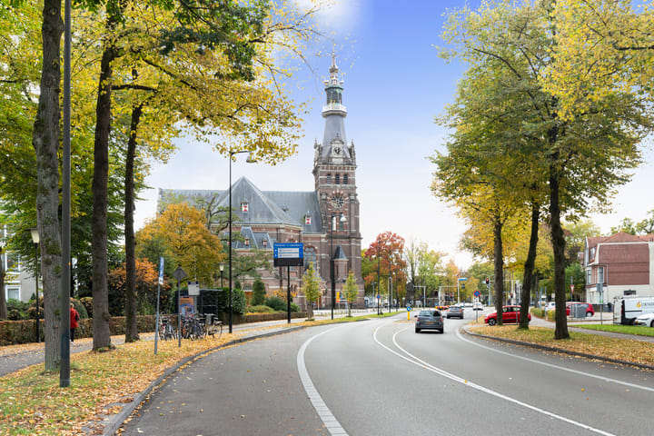 Foto 36 van Loolaan 524