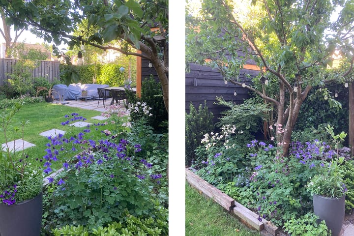 Foto 49 van Standerdmolen 18