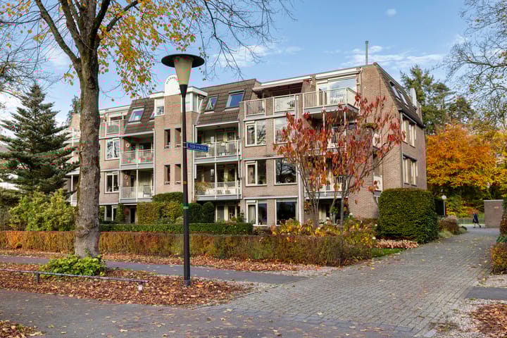 Foto 30 van Loolaan 524