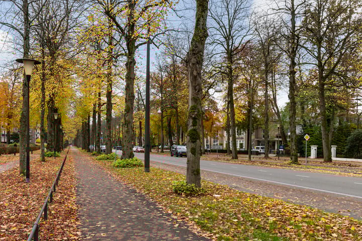 Foto 32 van Loolaan 524