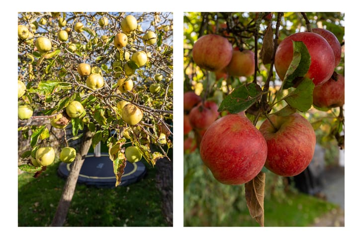 Foto 35 van De Kistemaker 12