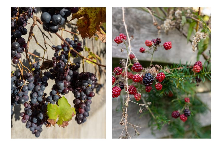 Foto 39 van De Kistemaker 12