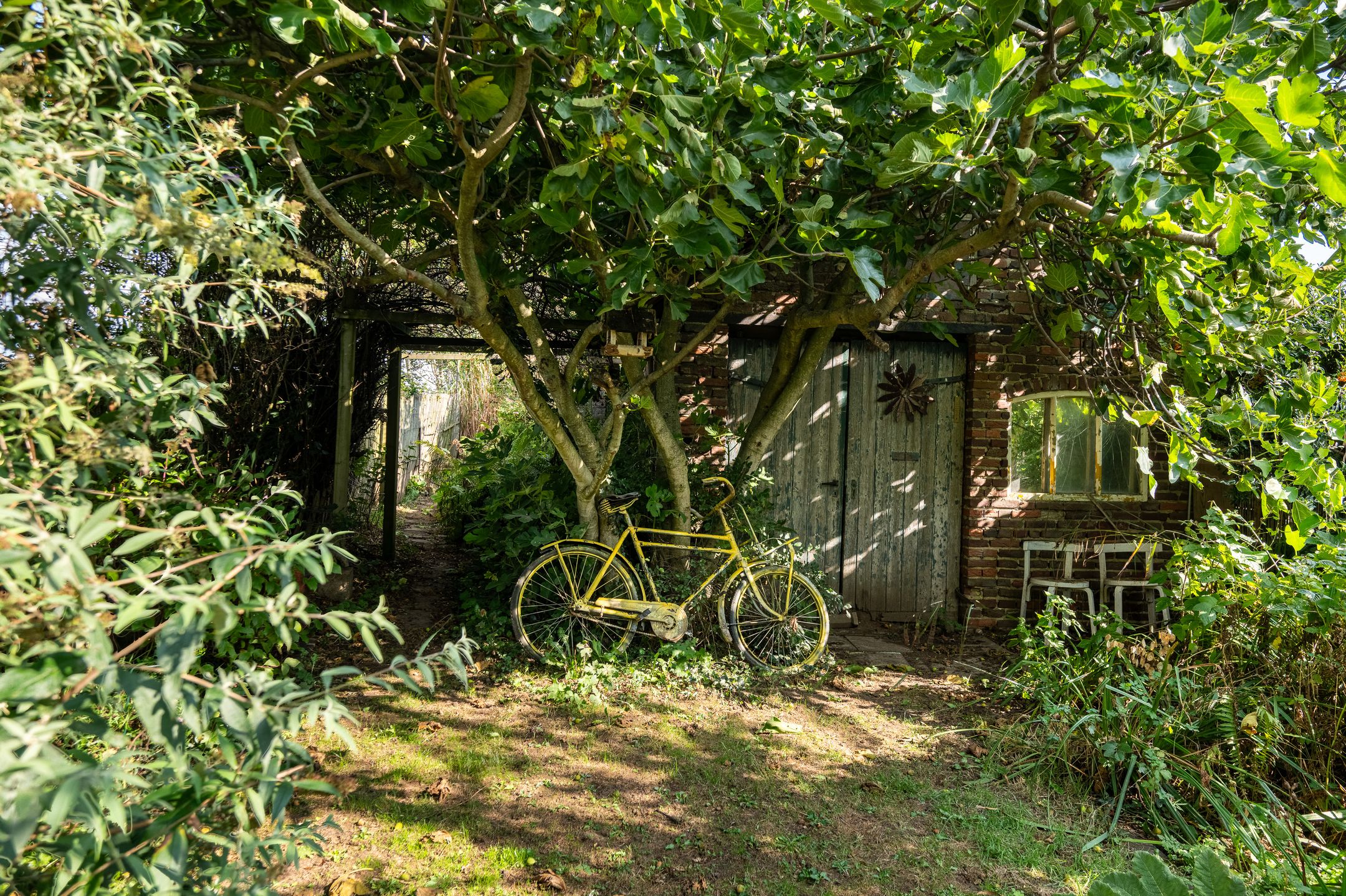 Photo 27 of Haanweg 11