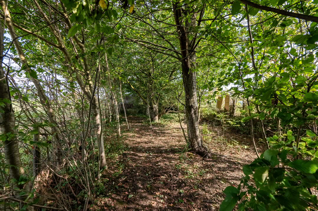 Photo 28 of Haanweg 11