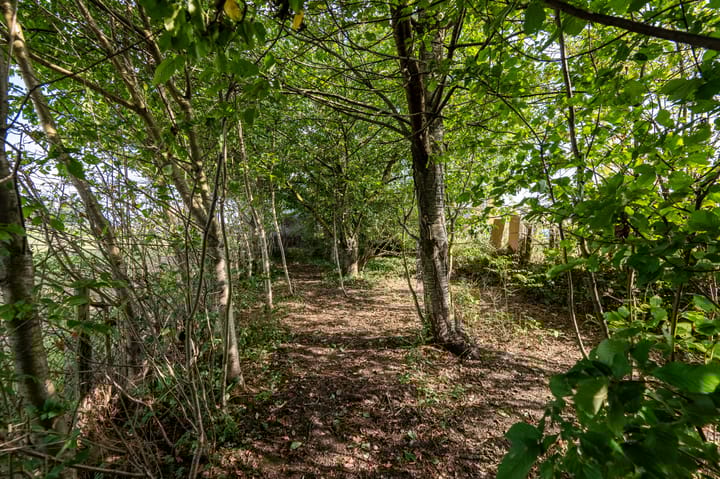 Photo 28 of Haanweg 11