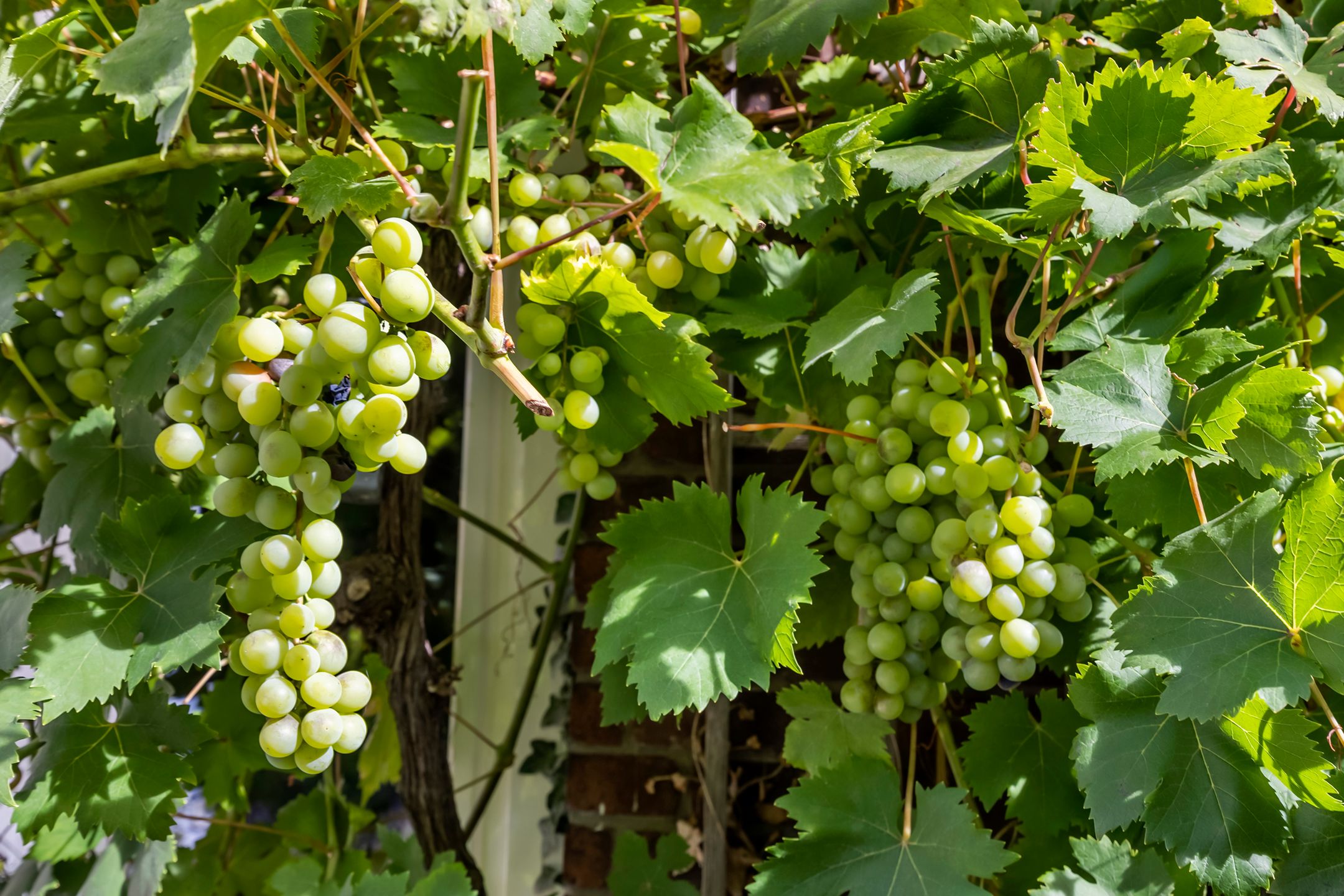 Foto 15 van Koningin Emmastraat 47