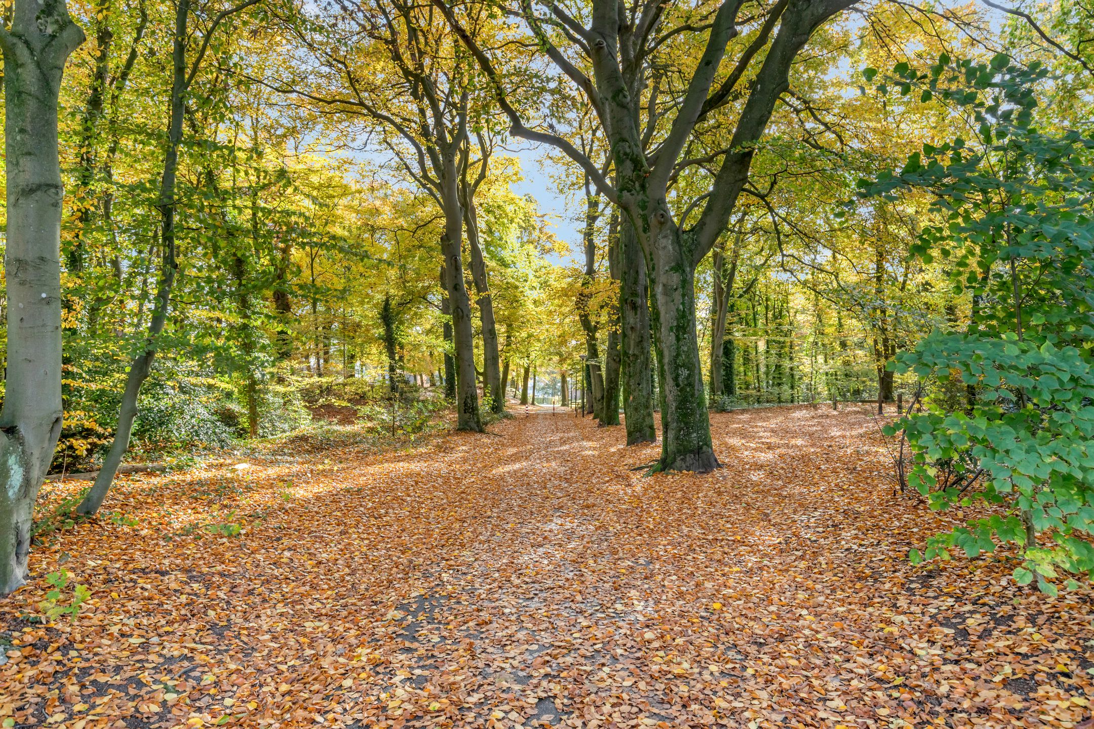 Foto 33 van Woestijgerweg 203-A