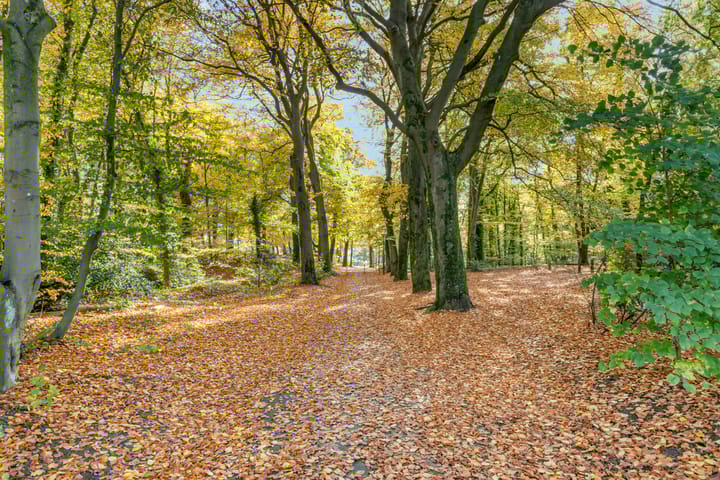 Foto 33 van Woestijgerweg 203-A