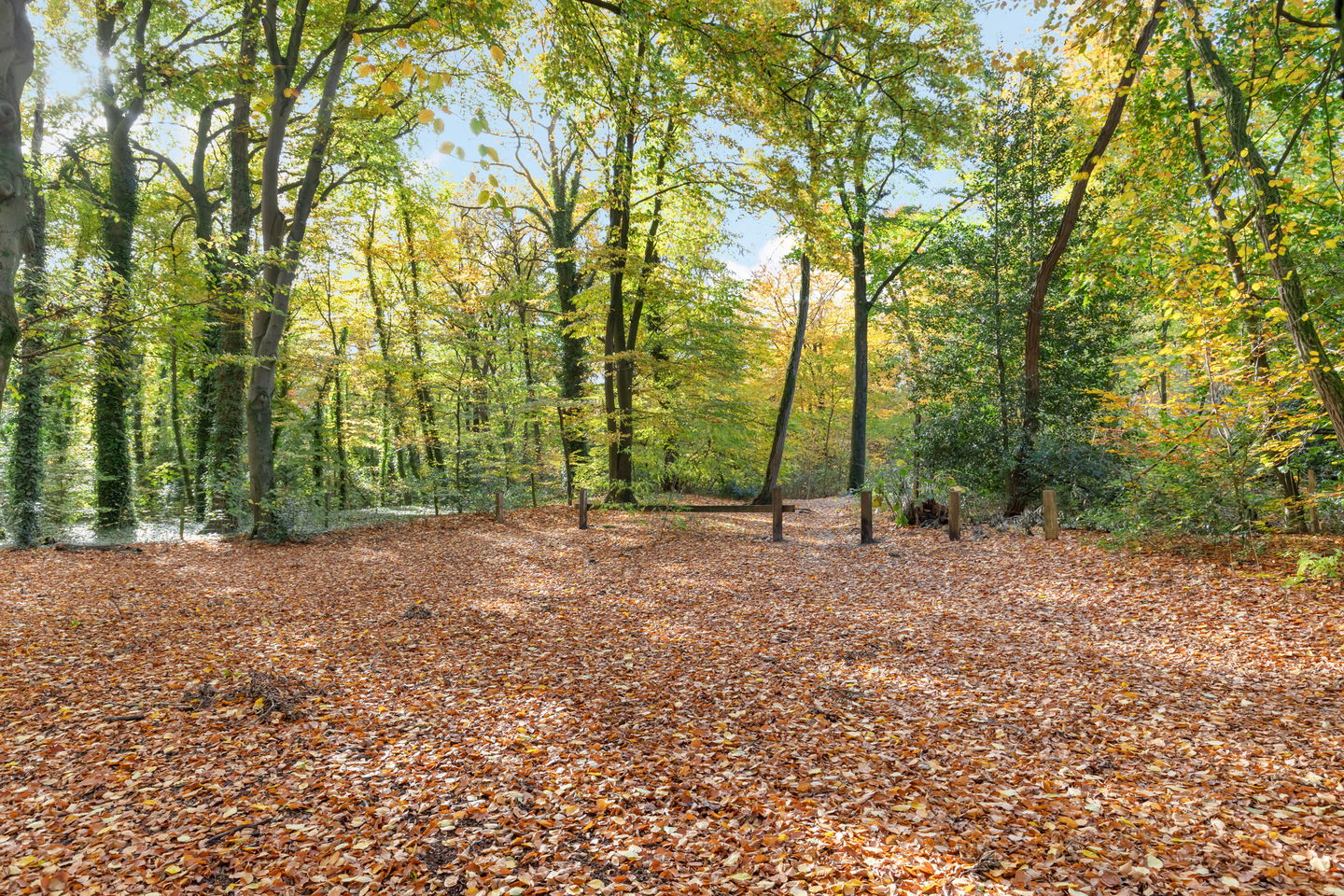 Foto 34 van Woestijgerweg 203-A