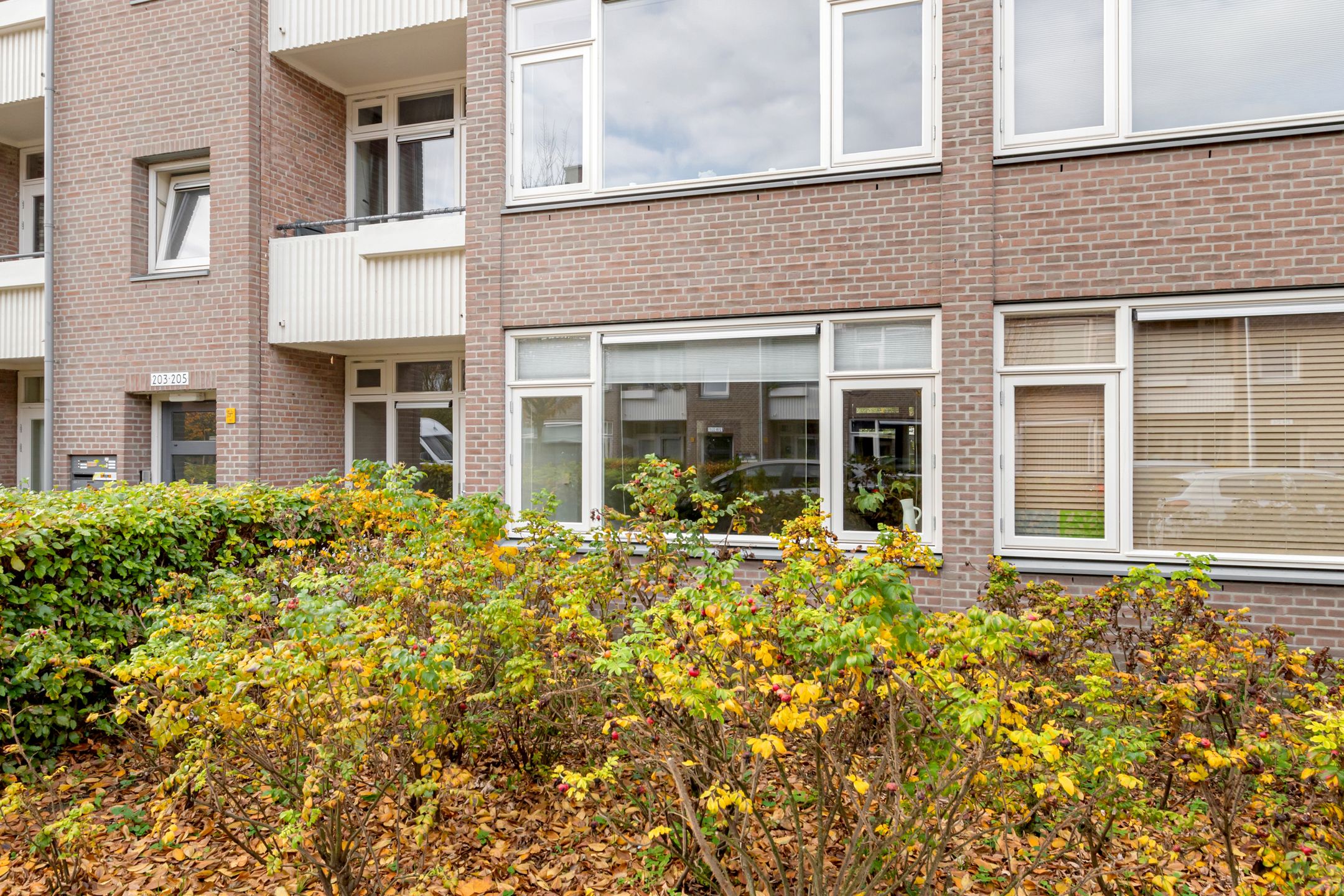 Foto 36 van Woestijgerweg 203-A