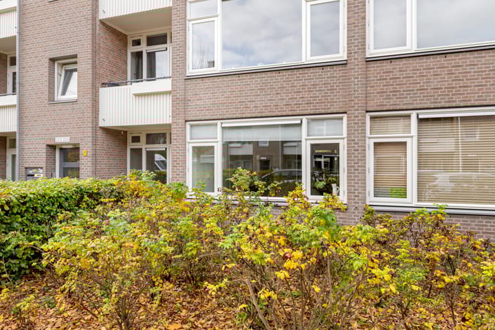 Foto 36 van Woestijgerweg 203-A