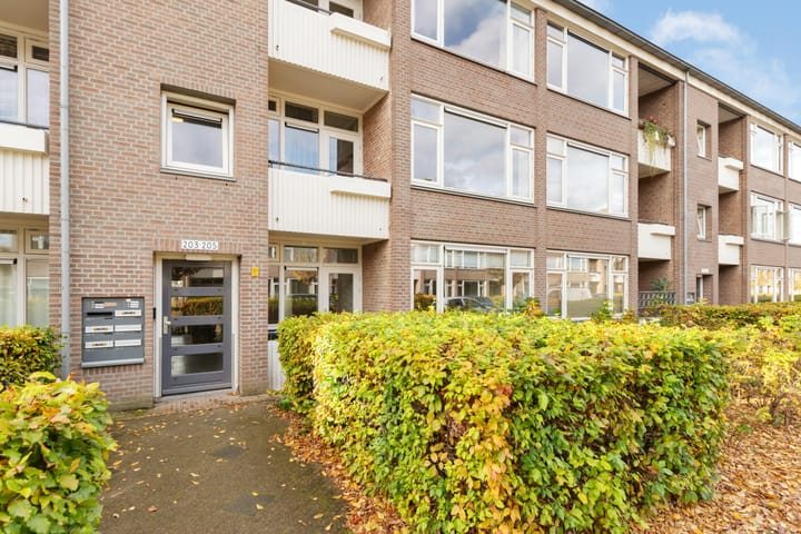 Foto 37 van Woestijgerweg 203-A