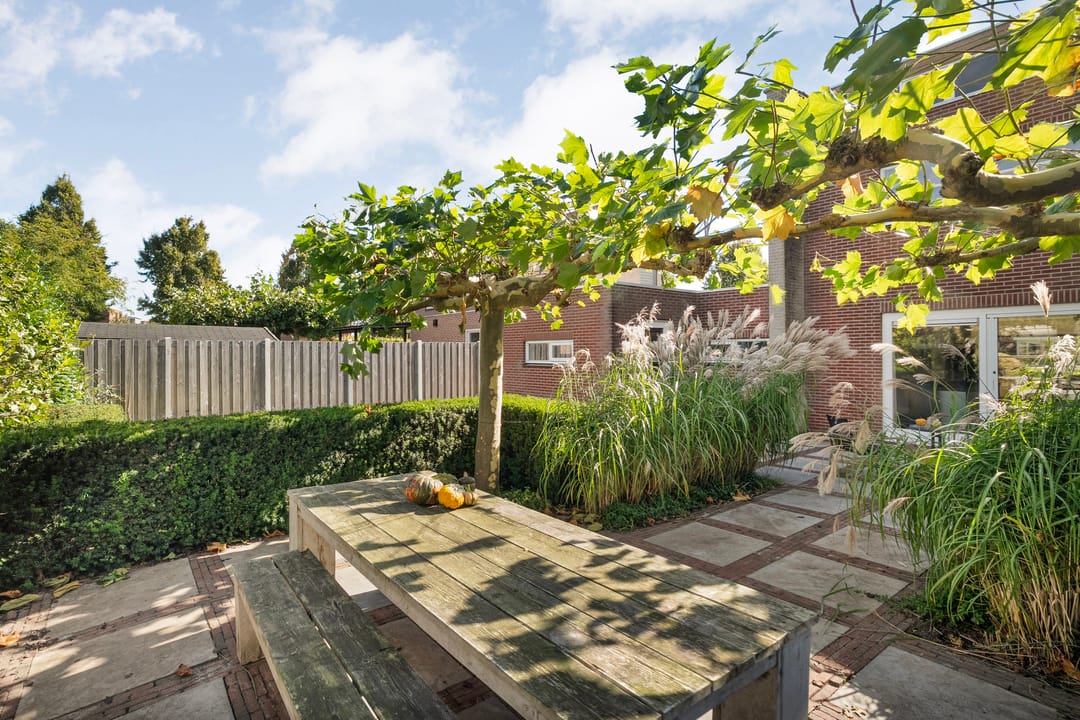 Photo 47 of Kreekrug 3