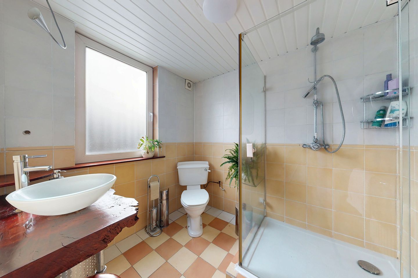 Photo 44 of Zomerland 43