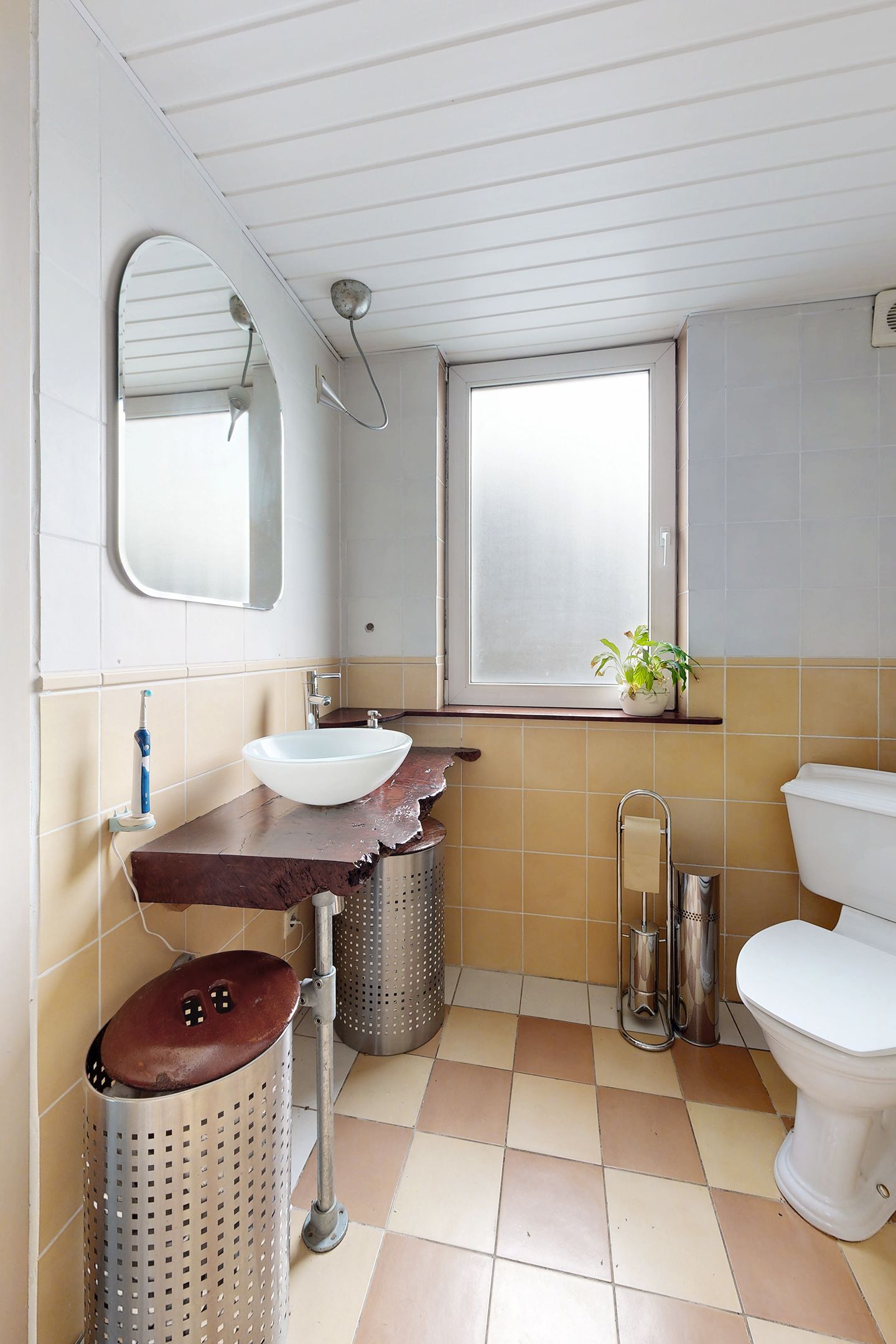 Photo 45 of Zomerland 43