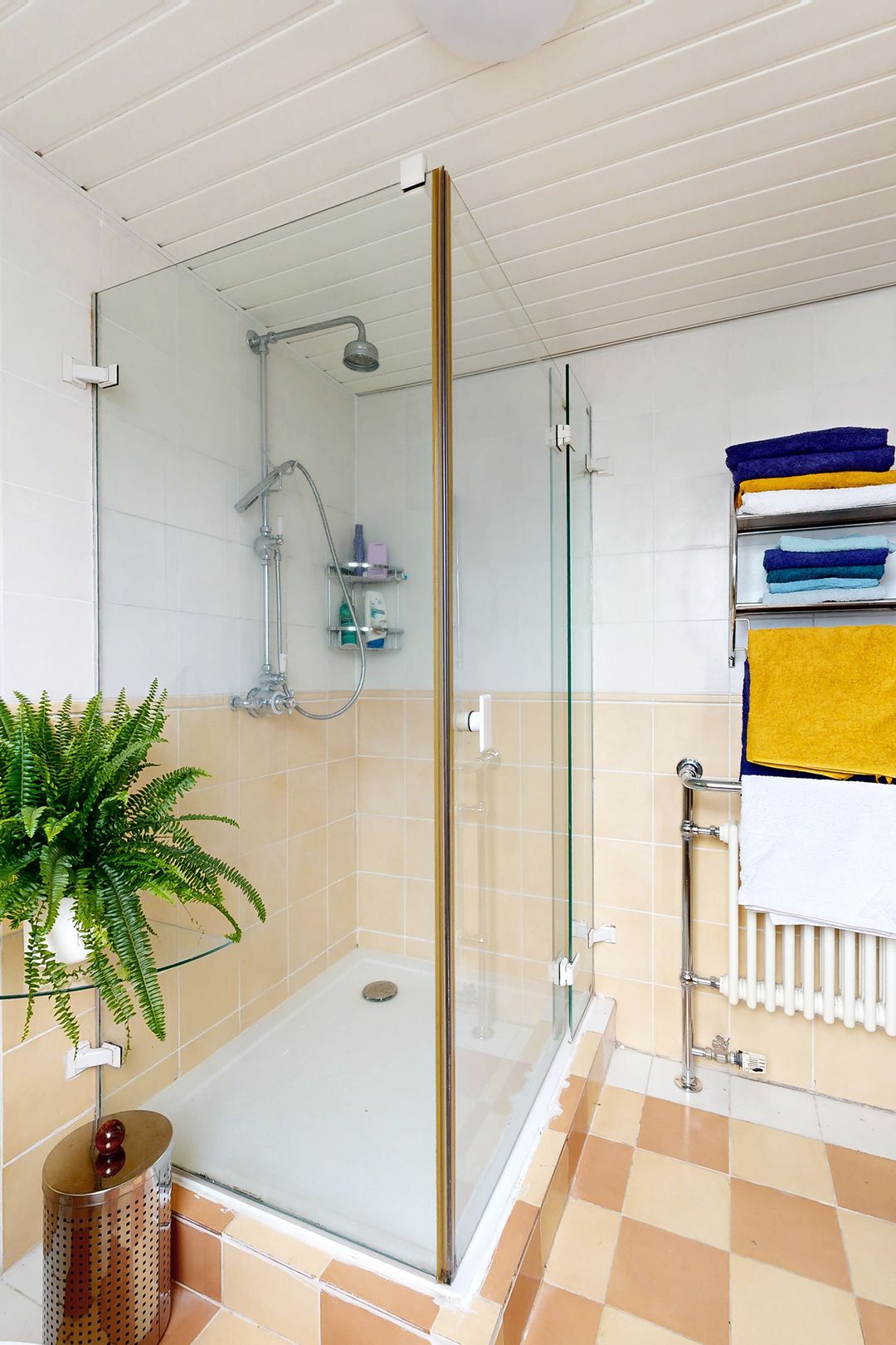 Photo 46 of Zomerland 43