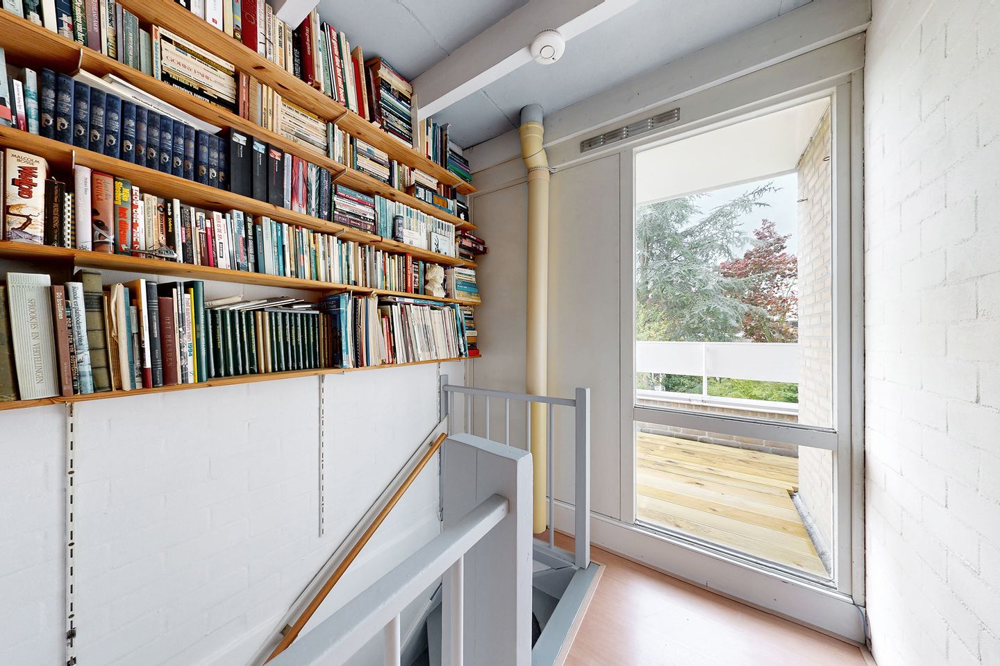 Photo 49 of Zomerland 43