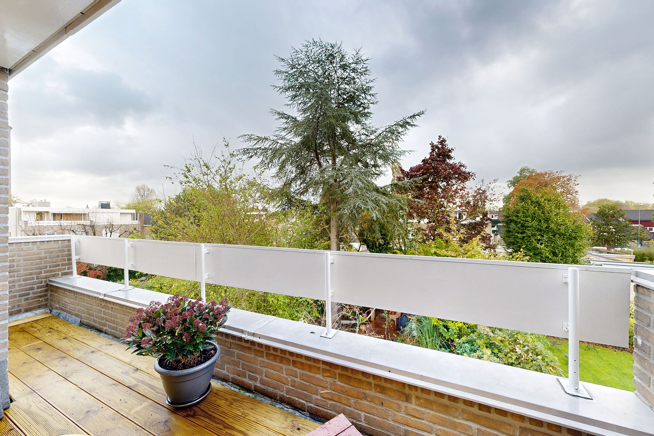 Photo 54 of Zomerland 43