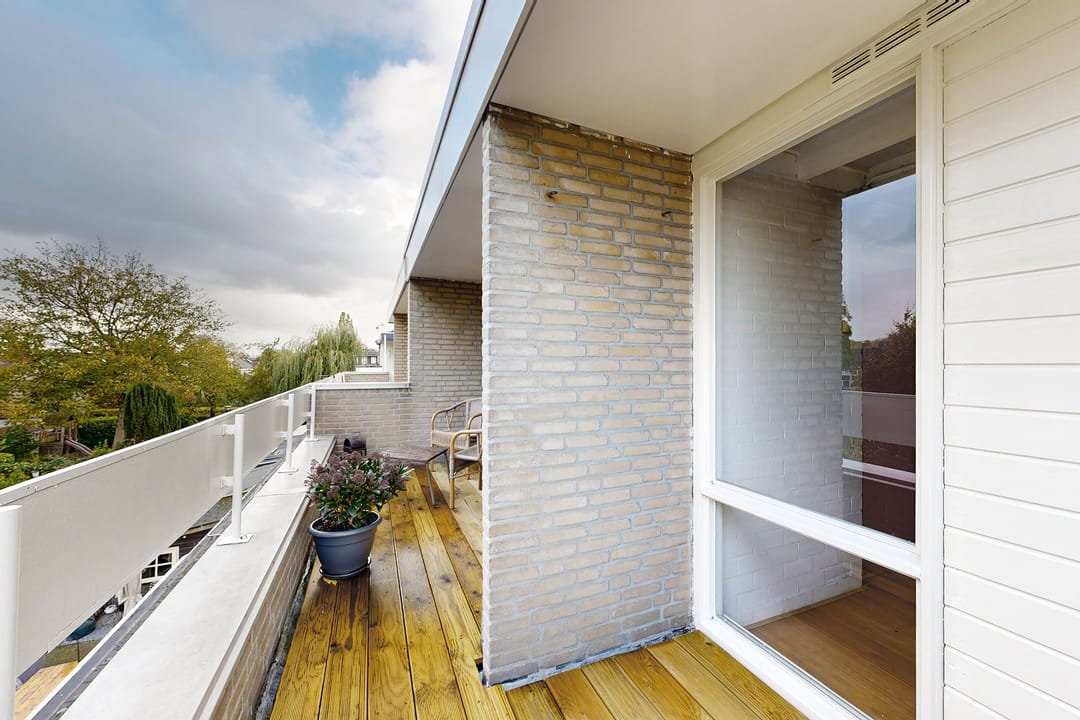 Photo 56 of Zomerland 43