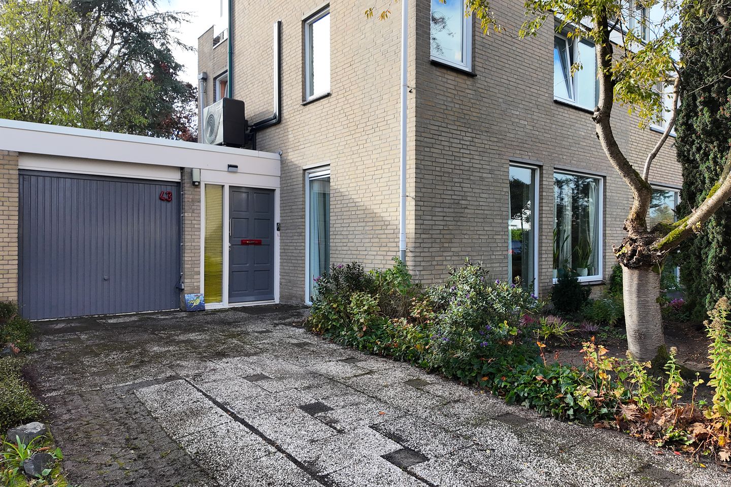 Photo 59 of Zomerland 43