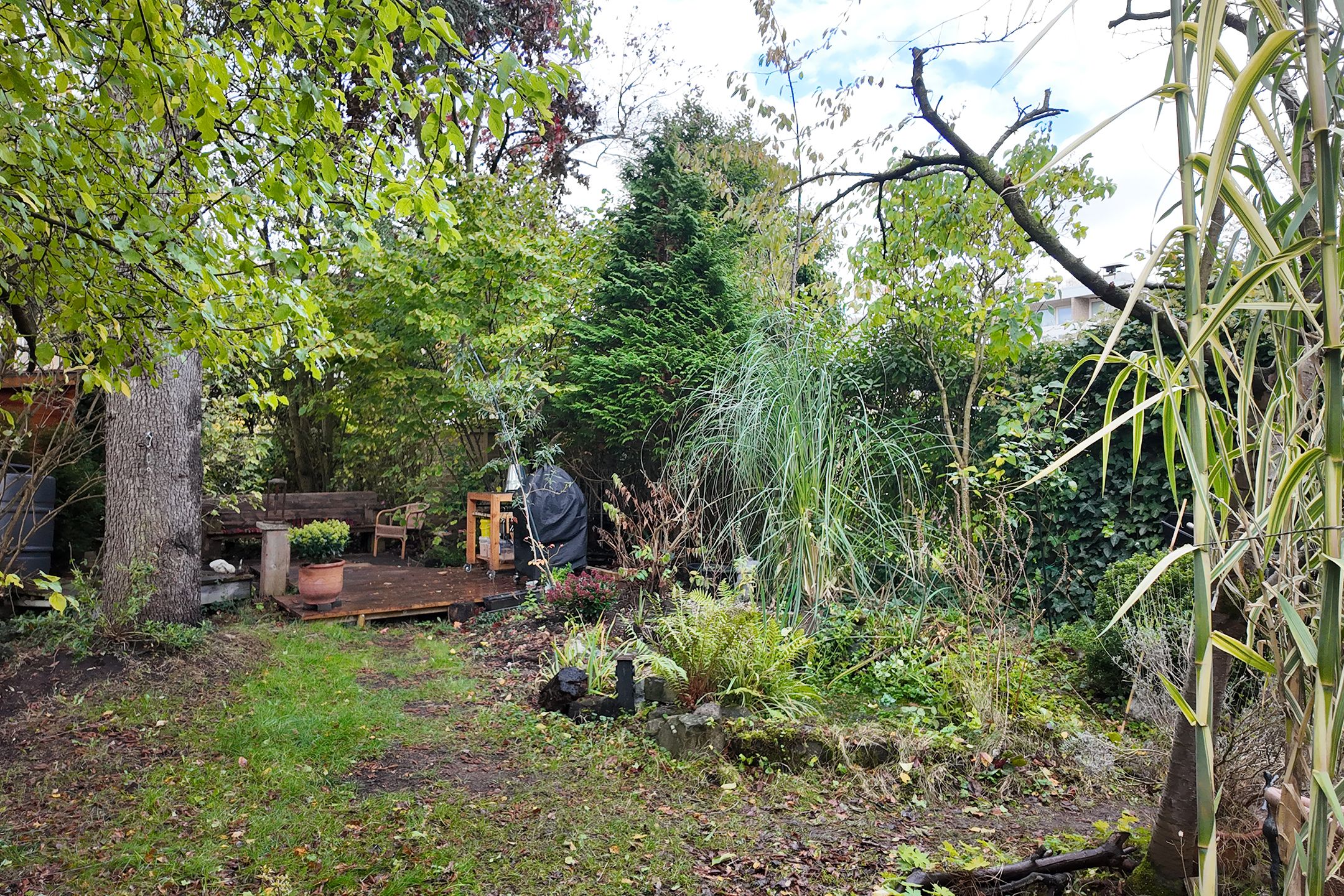 Photo 60 of Zomerland 43