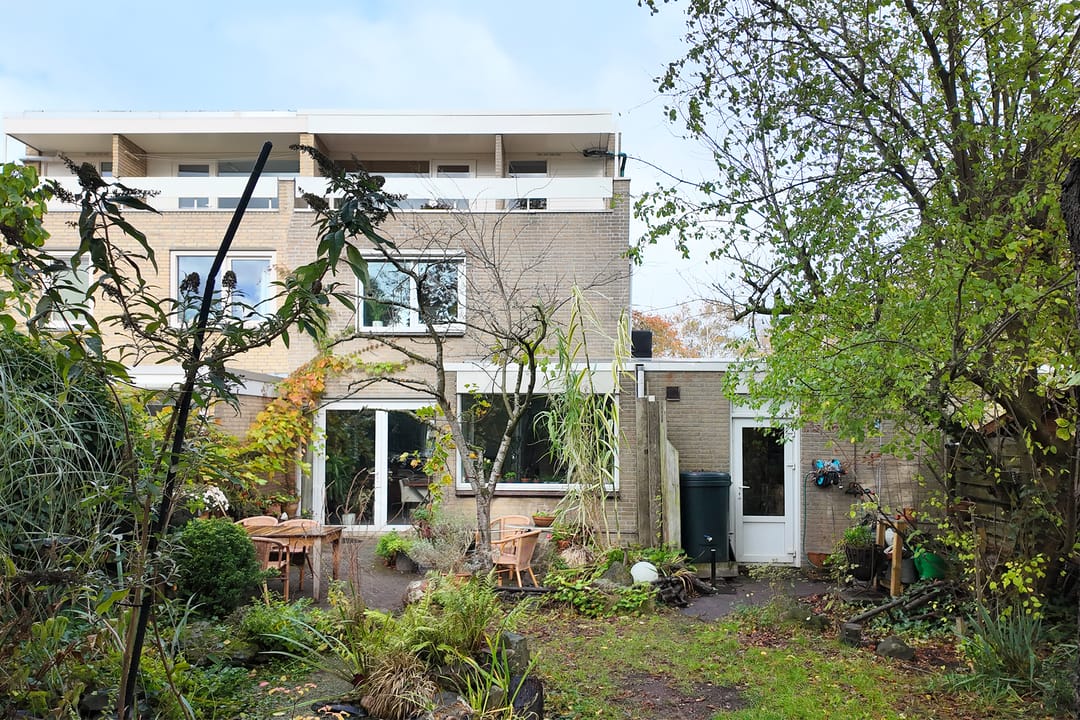 Photo 62 of Zomerland 43