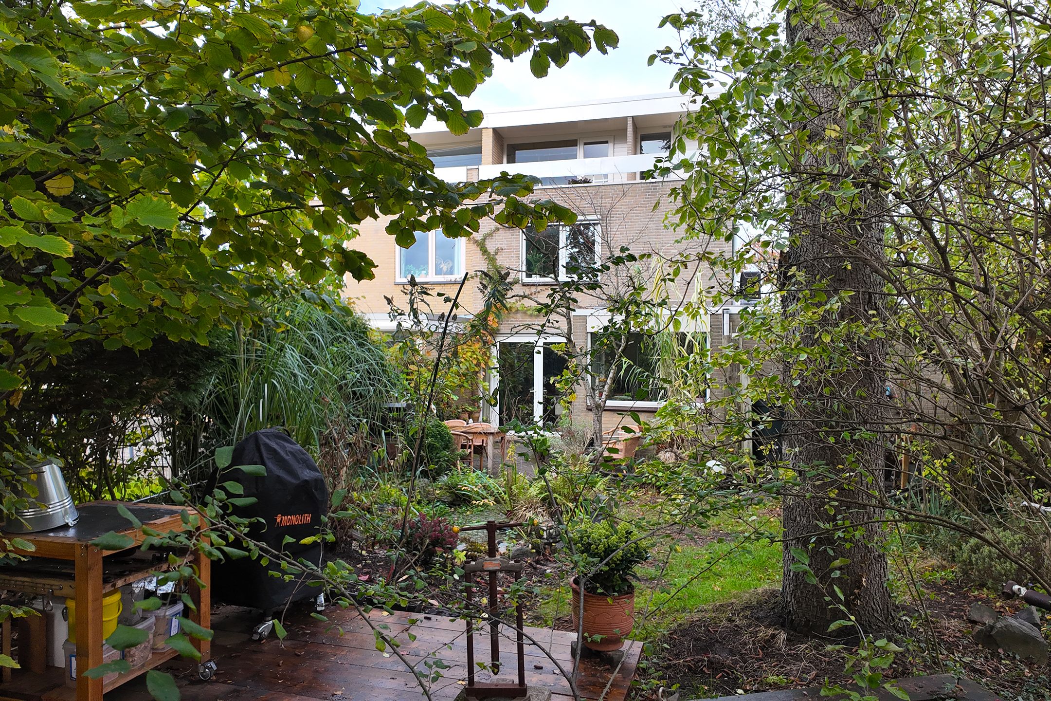 Photo 63 of Zomerland 43