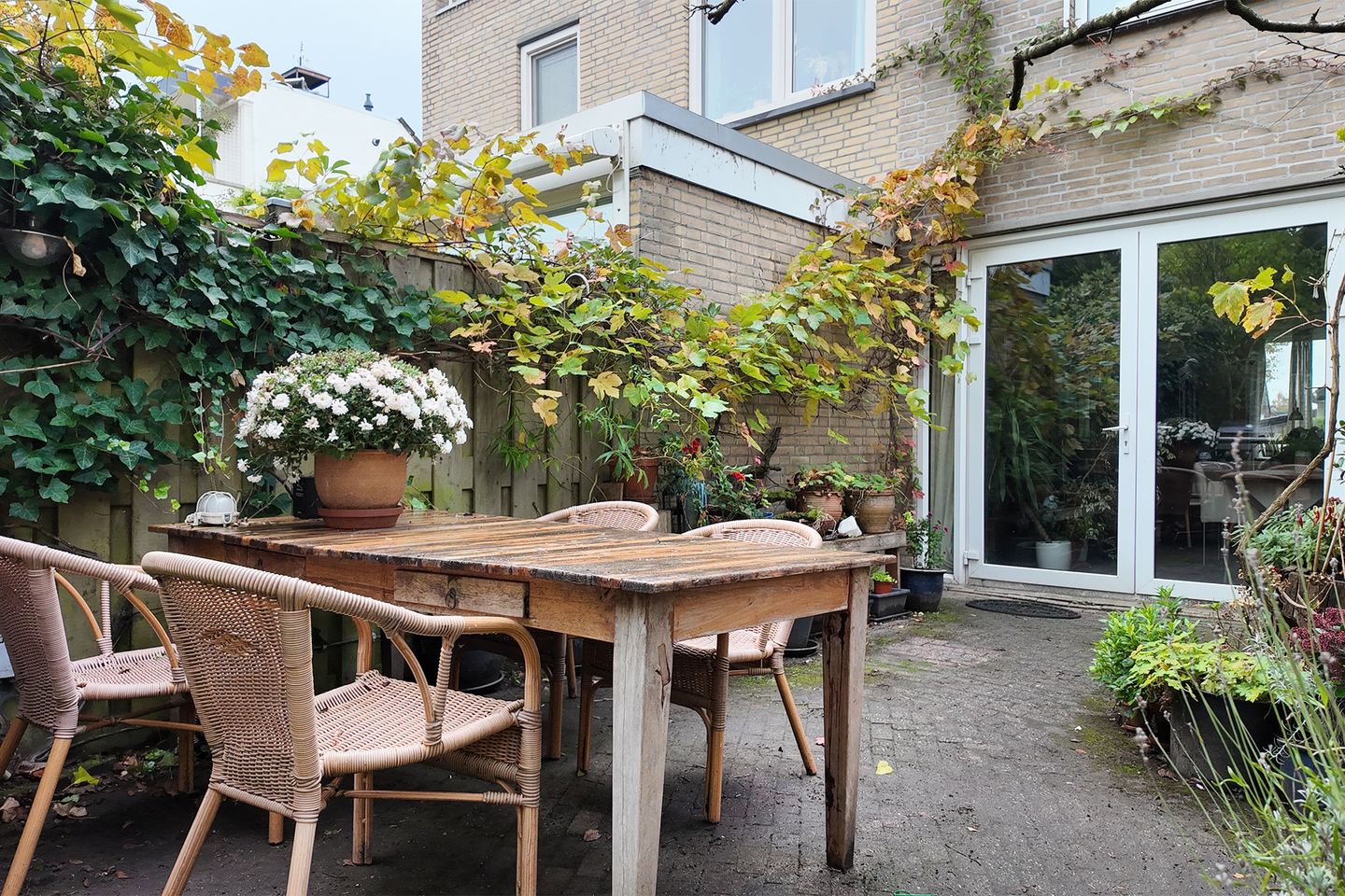 Photo 65 of Zomerland 43