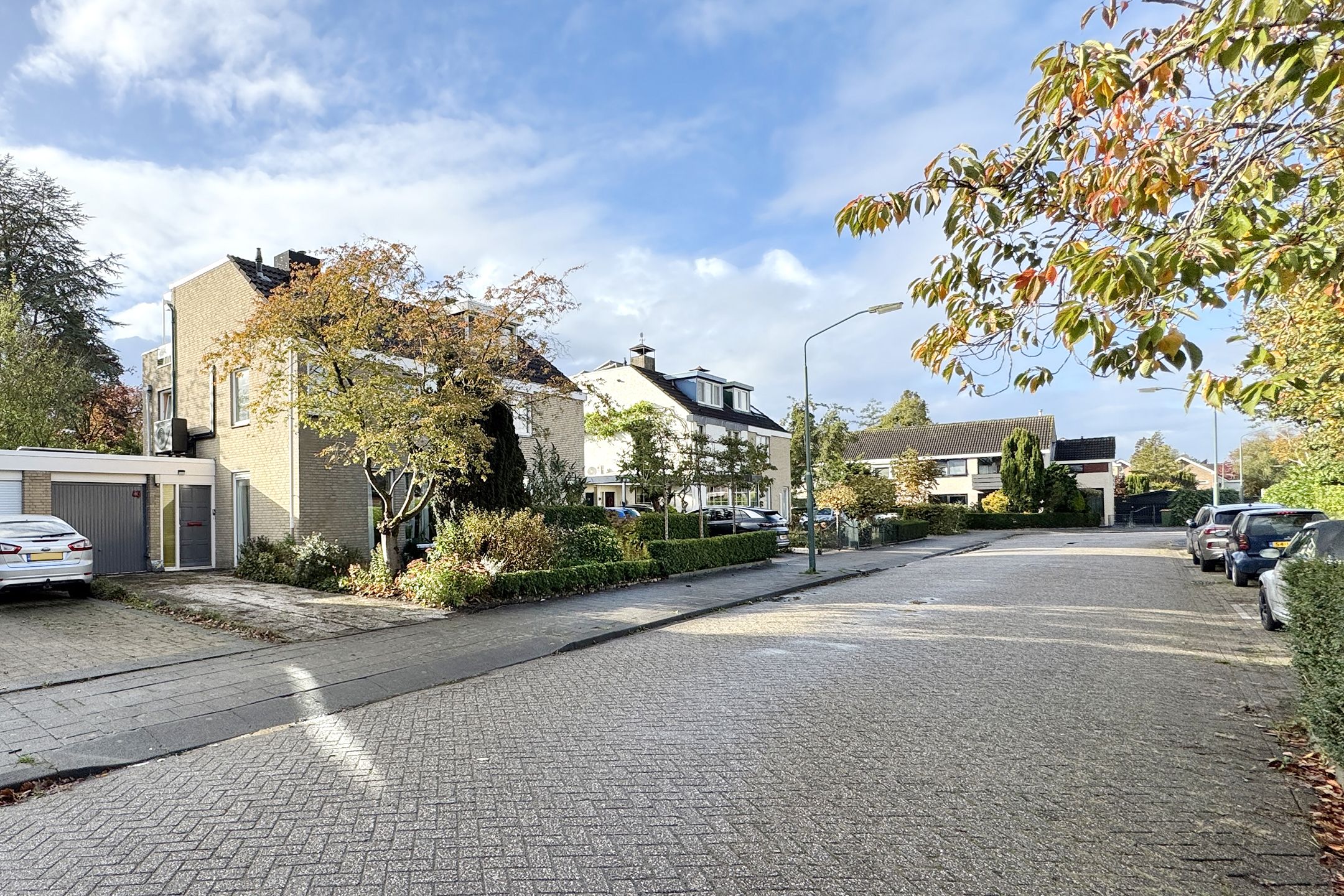 Photo 66 of Zomerland 43