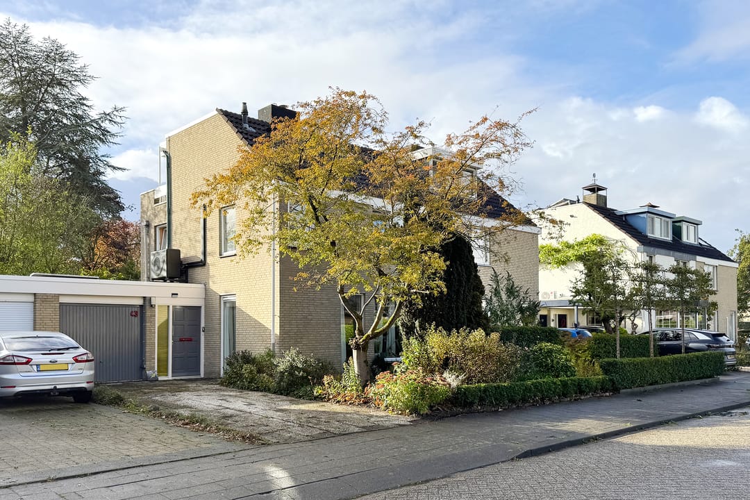 Photo 67 of Zomerland 43