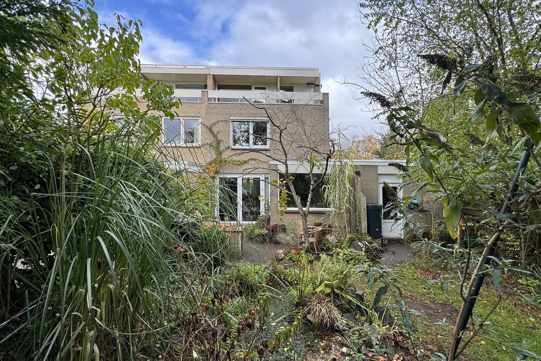 Photo 71 of Zomerland 43