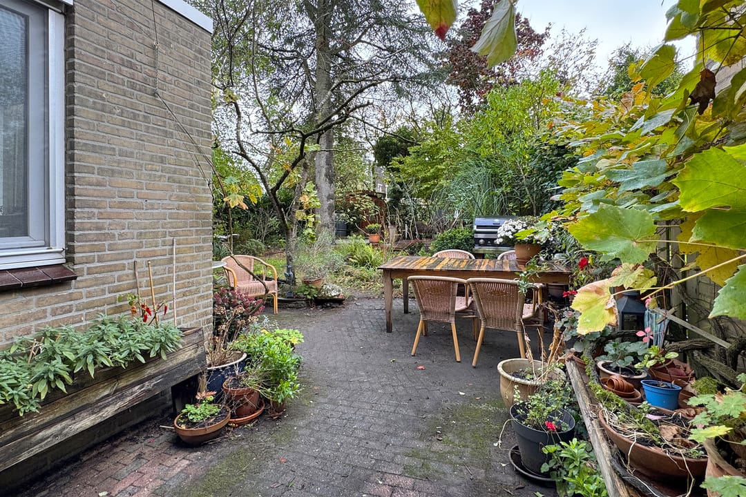 Photo 73 of Zomerland 43