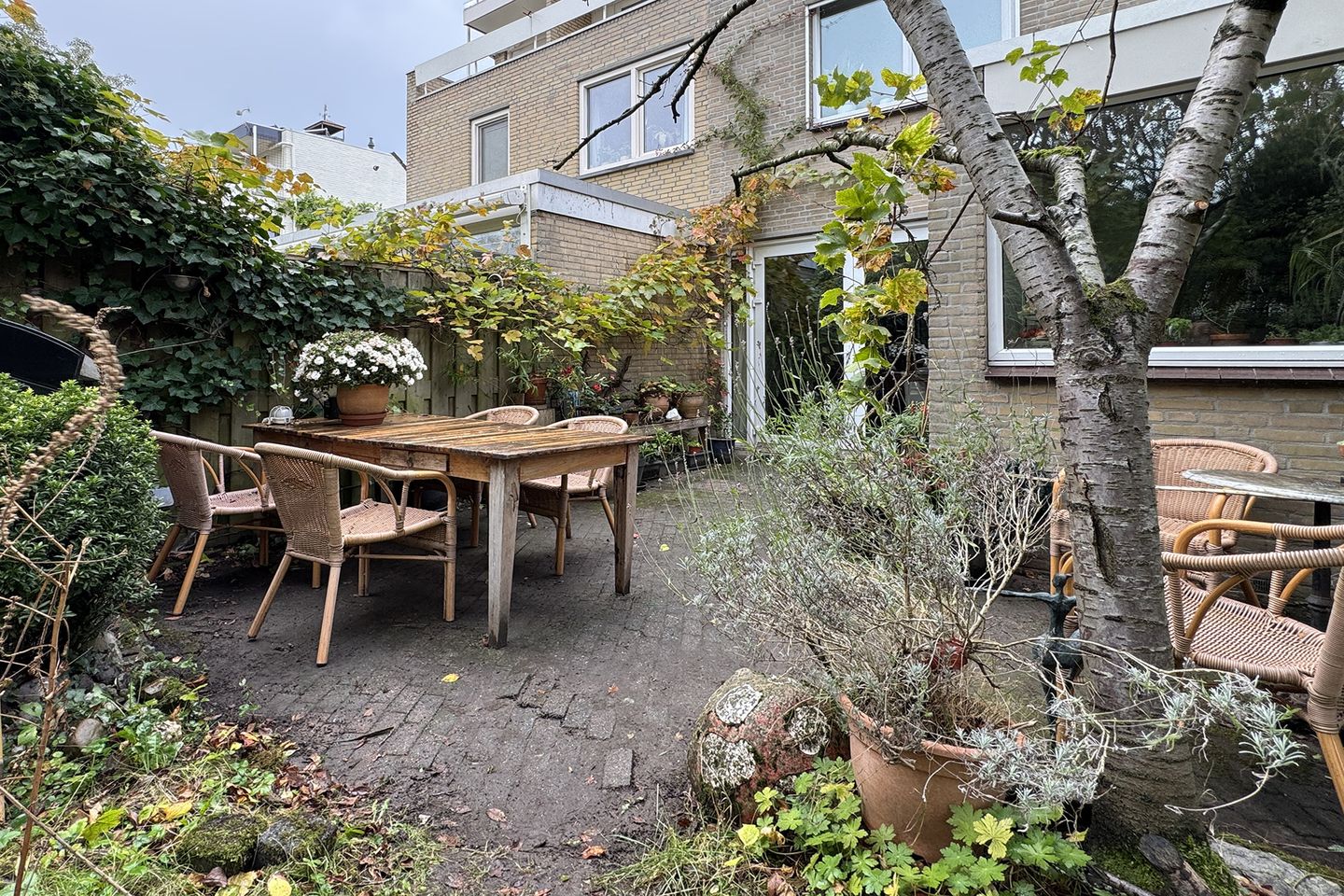 Photo 74 of Zomerland 43