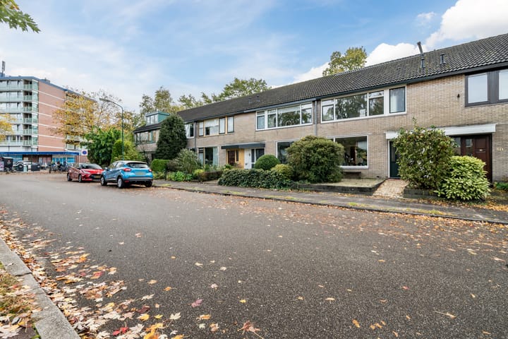 Photo 44 of Wiardi Beckmanstraat 507