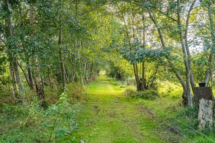 Photo 66 of Lietsweg 6