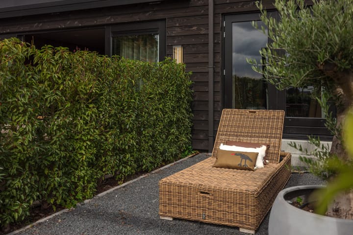 Photo 11 of Rodenrijseweg 553-B