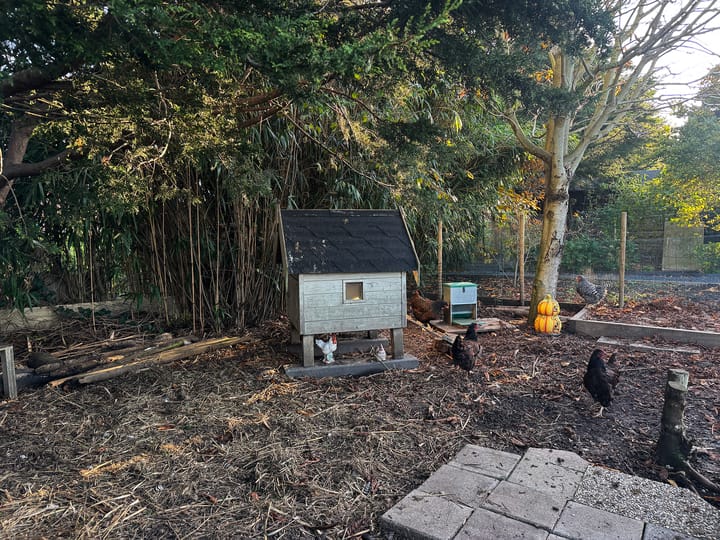 Photo 35 of Zwarte Pad 24