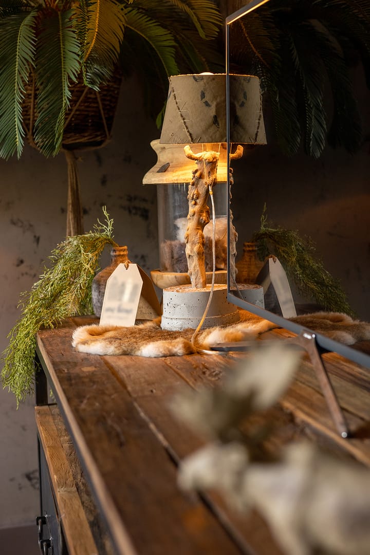 Photo 40 of Rodenrijseweg 553-B