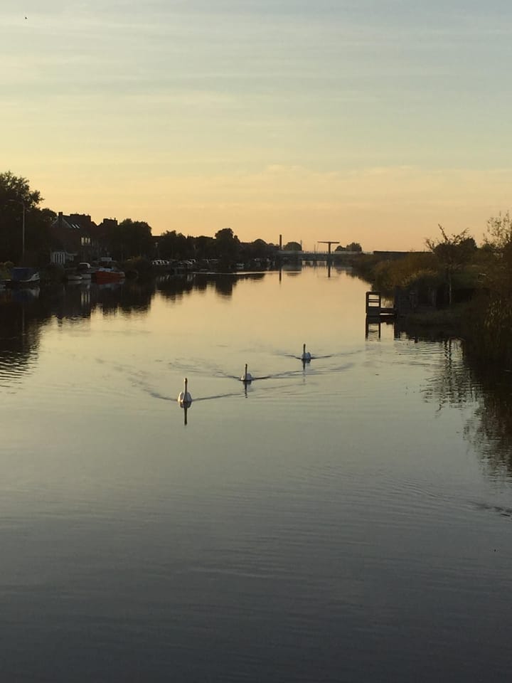 Photo 49 of Zwarte Pad 24