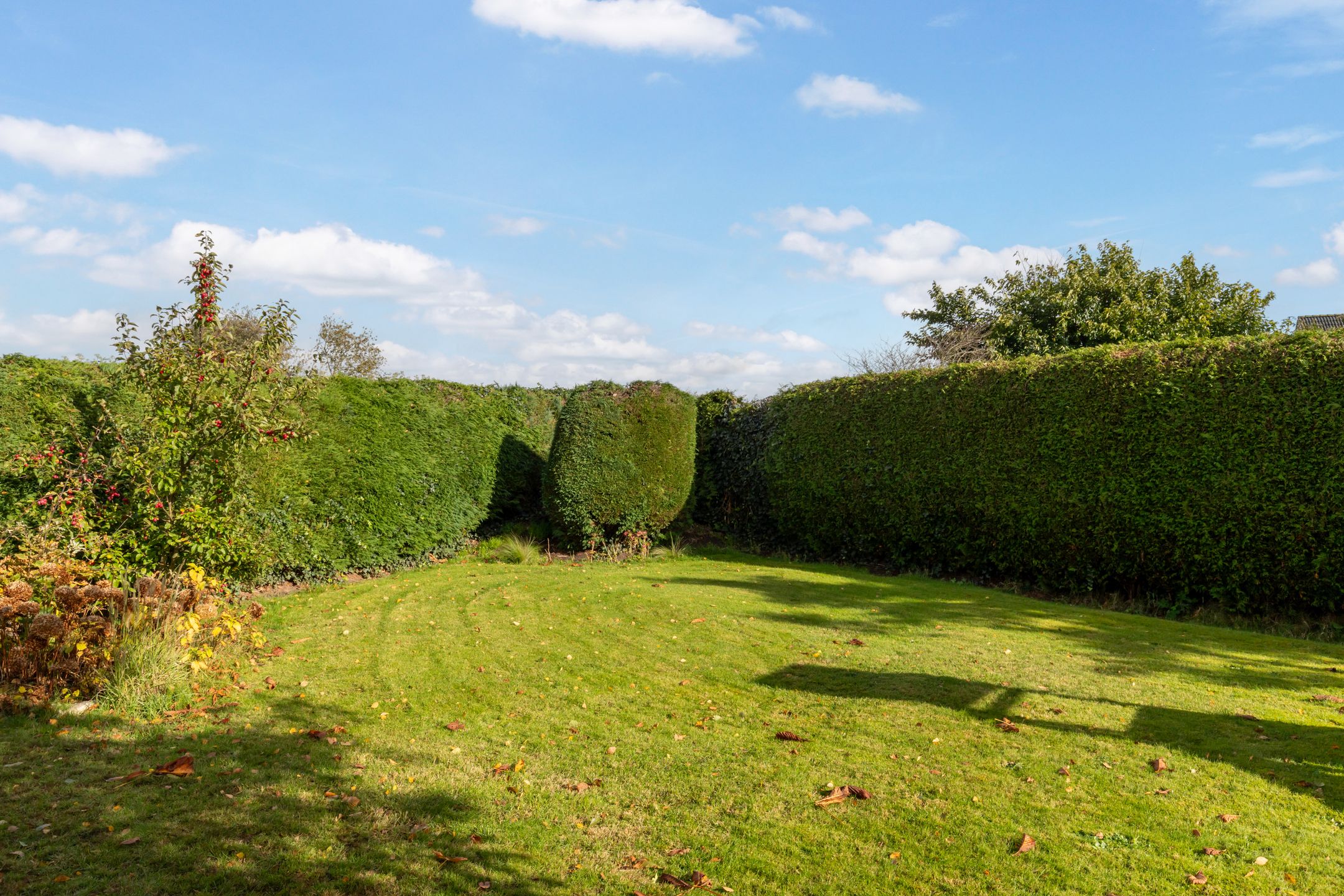 Foto 30 van Domstraat 27