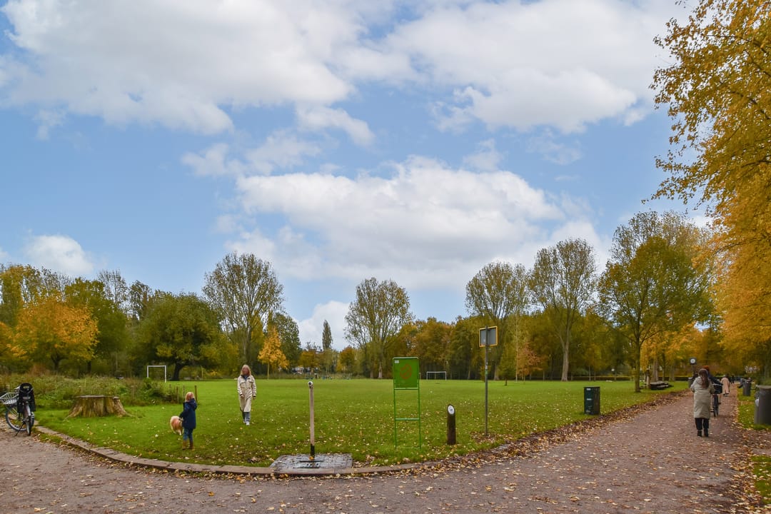 Photo 13 of Bos en Lommerplantsoen 107-G