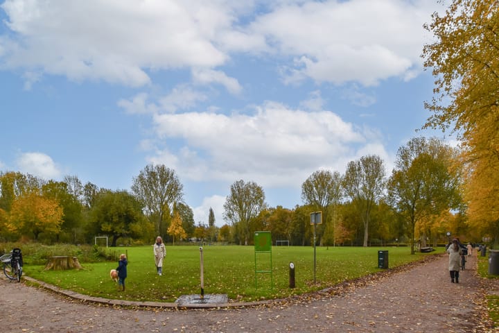 Photo 13 of Bos en Lommerplantsoen 107-G