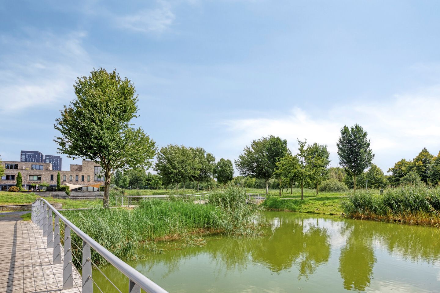 Photo 40 of Volterra 13