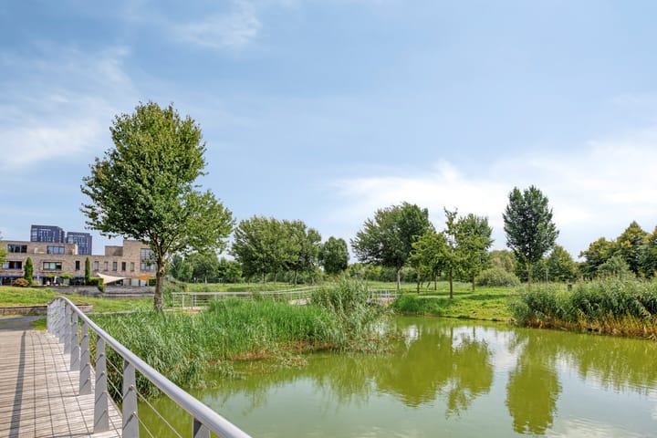 Foto 40 van Volterra 13