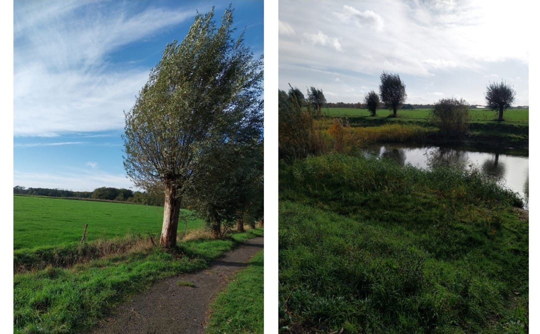 Foto 41 van Ambrozijnberg 29