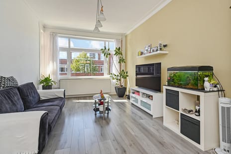 Driebergenstraat thumbnail