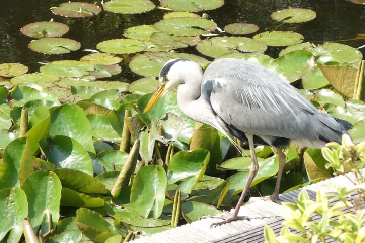 Photo 41 of Van de Veldelaan 958