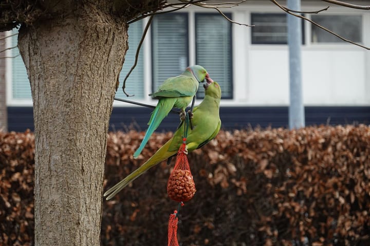 Photo 44 of Van de Veldelaan 958