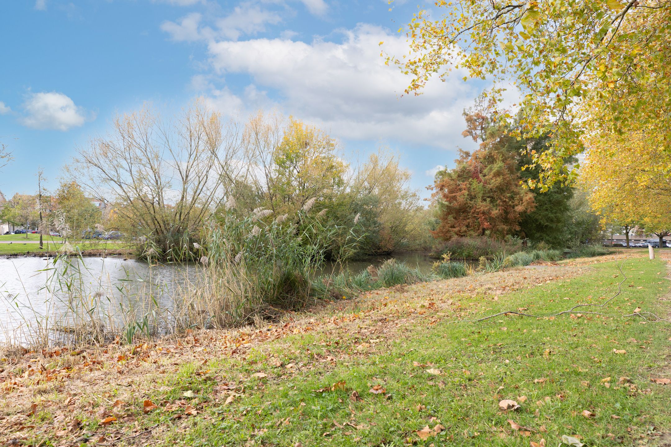 Foto 21 van Martin Luther Kinglaan 468