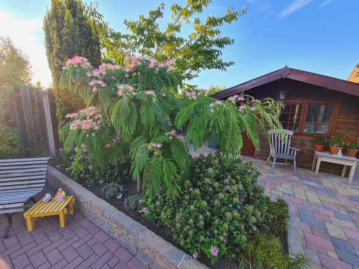 Photo 40 of 't Magesijn 76